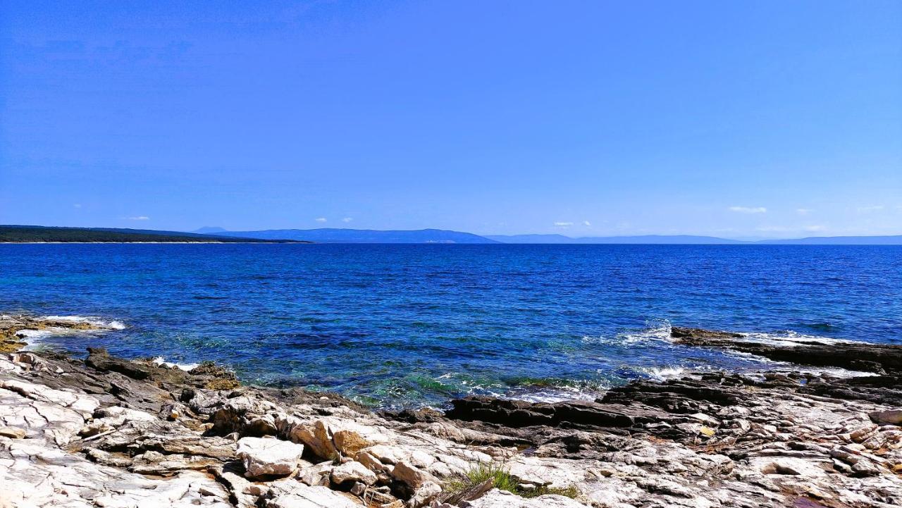 Apartment Agava Istria - Family Vacation Rental With Free Parking, Garden, Wifi Ližnjan Eksteriør billede
